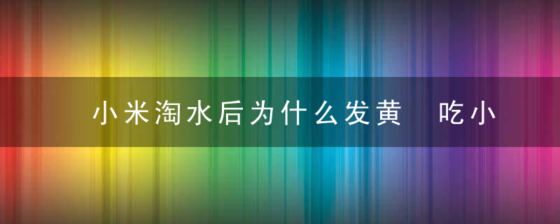 小米淘水后为什么发黄 吃小米有哪些功效